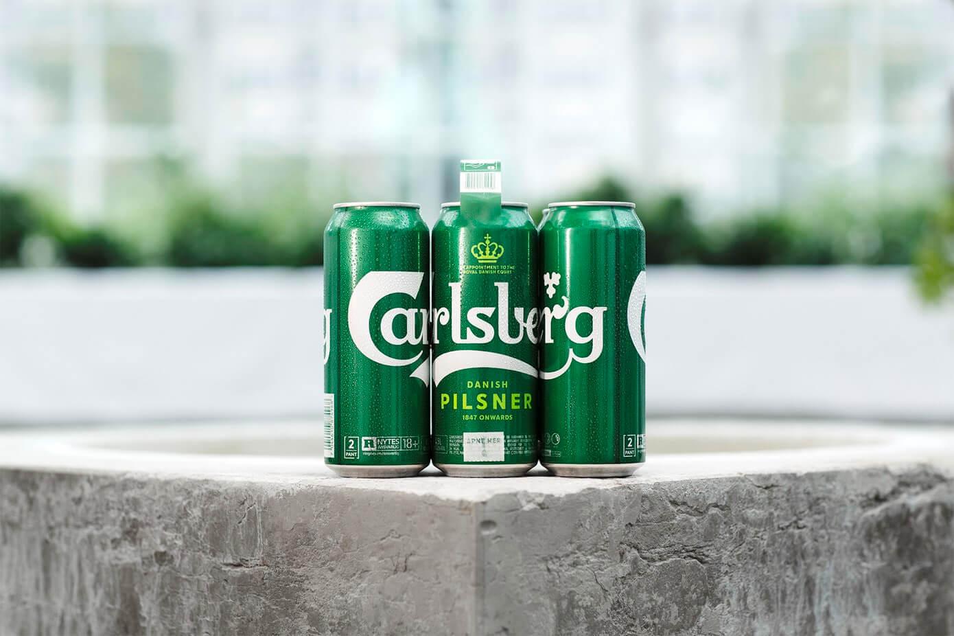 carlsberg snap pack six pack of beer