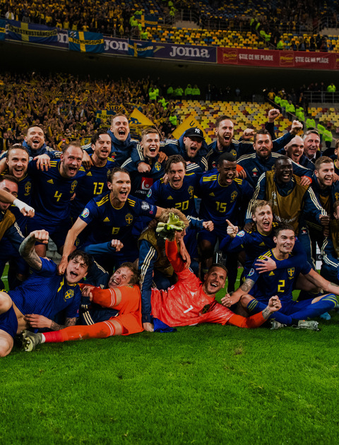 svenska fotbollsförbundet