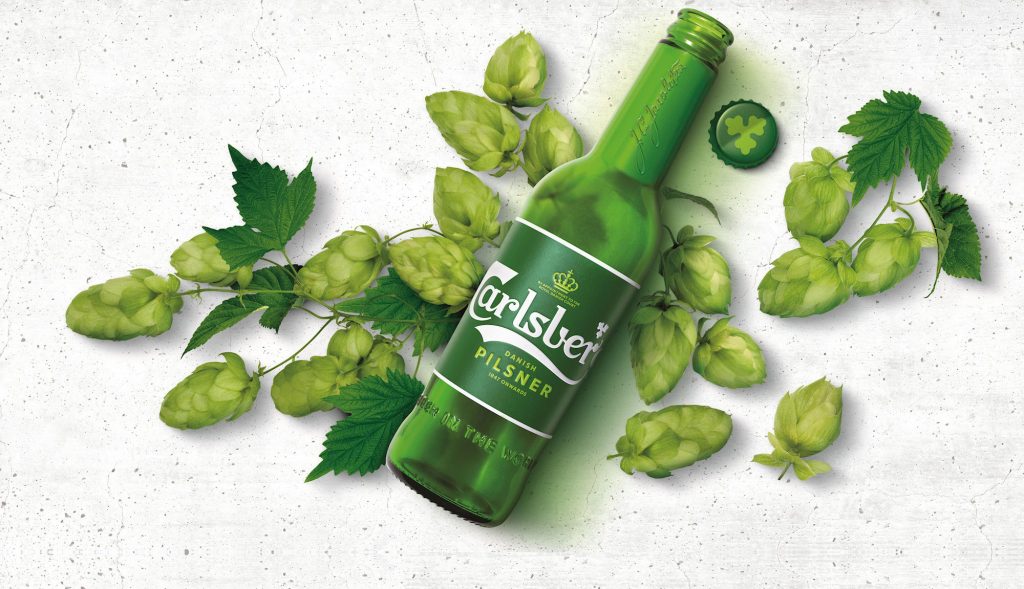 carlsberg bottle with hops is ready to trade